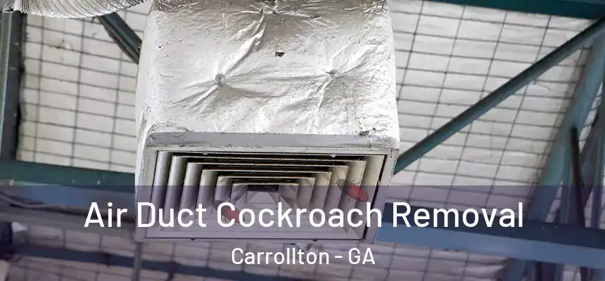  Air Duct Cockroach Removal Carrollton - GA