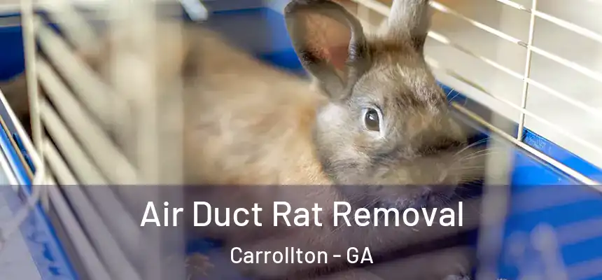  Air Duct Rat Removal Carrollton - GA