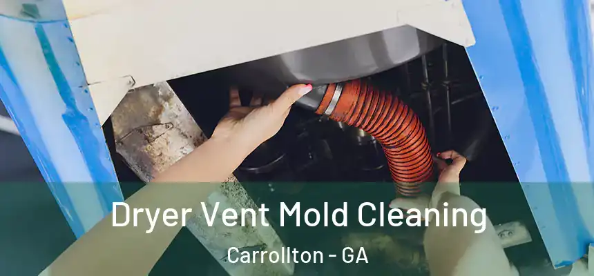  Dryer Vent Mold Cleaning Carrollton - GA