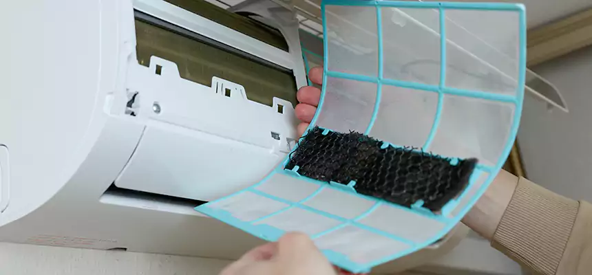 Gentle Ductwork Odor-Control Pet Dander Duct Cleaning in Carrollton, GA