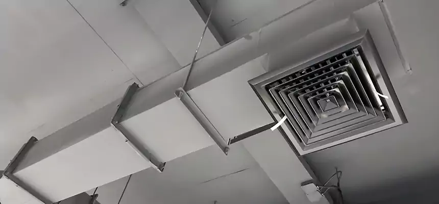 Our Rodent Droppings In Vents Services in Carrollton, GA