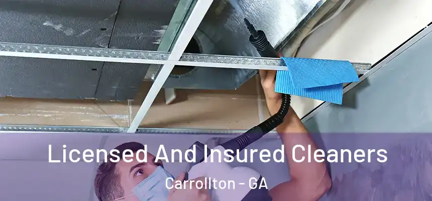  Licensed And Insured Cleaners Carrollton - GA