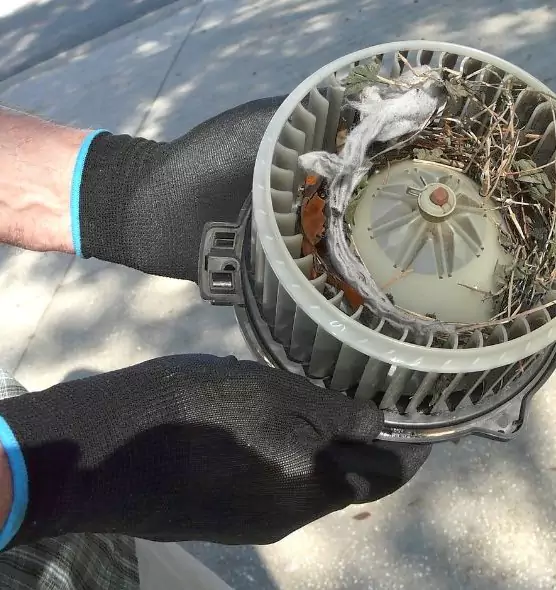 About Air Duct Mice Removal in Carrollton, GA