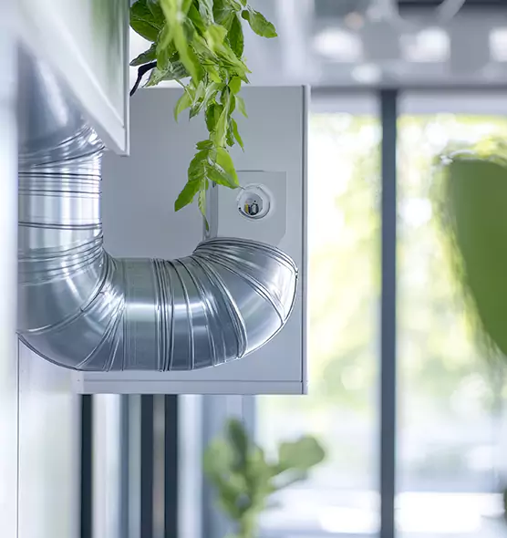 Professional Eco-Friendly Duct Cleaning Services in Carrollton, GA