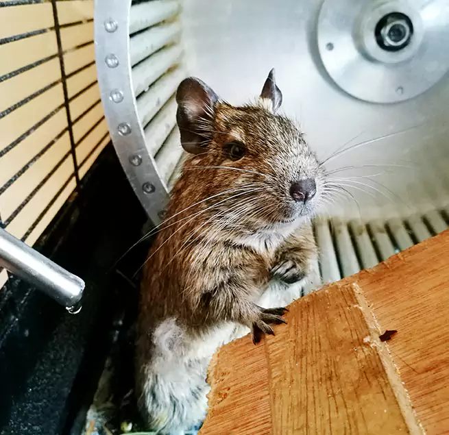 Why Homeowners & Businesses Trust Us Carrollton, GA?