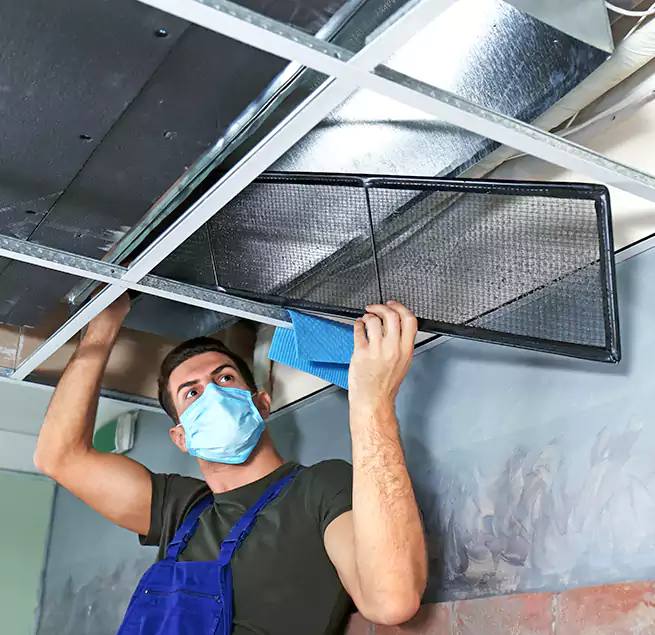 Why Homeowners Businesses Trust Us in Carrollton, GA