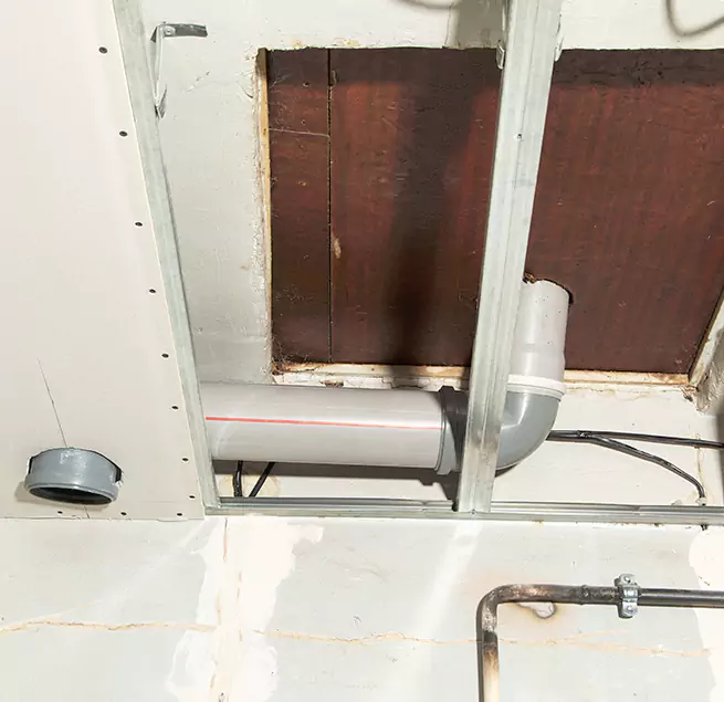 Why Homeowners & Businesses Trust Us in Carrollton, GA?