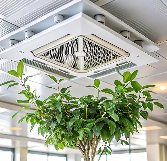 Why Homeowners & Businesses Trust Us in Carrollton, GA?