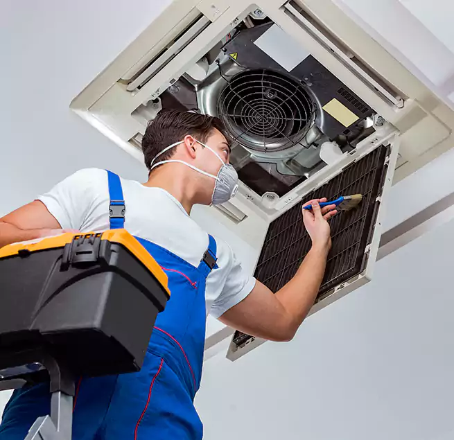 Why Homeowners & Businesses Trust Us in Carrollton, GA?