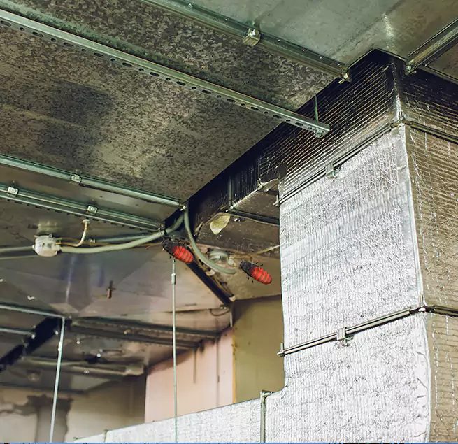 Why Homeowners & Businesses Trust Us Carrollton, GA?