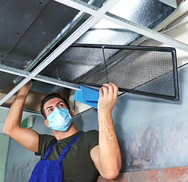 Why Homeowners & Businesses Trust Us in Carrollton, GA?