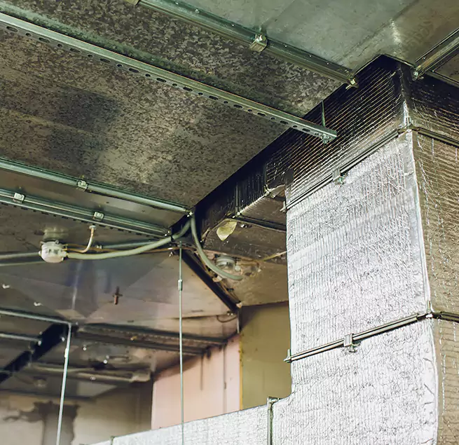 Why Homeowners & Businesses Trust Us in Carrollton, GA?